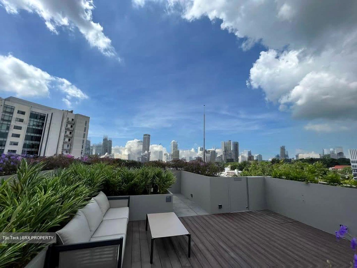 Haus On Handy (D9), Condominium #593381311